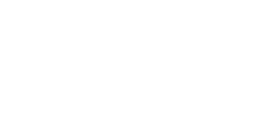 logo-punto-aliado